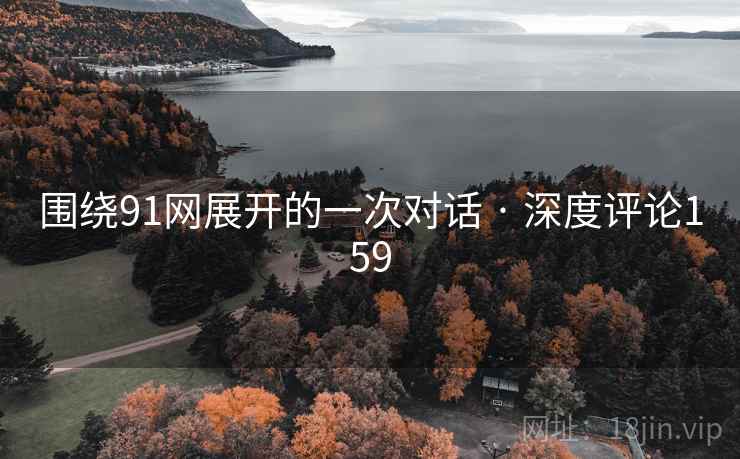围绕91网展开的一次对话 · 深度评论159